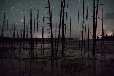 night-sky-and-bobby-socks-trees-at-fountain-paint-pots-nps-jacob-w-frank-yellowstone-small