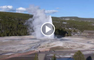 Old Faithful Live-Stream Webcam view from summer.