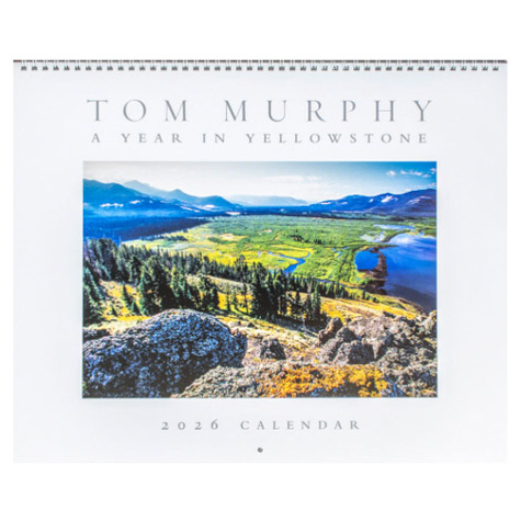 Tom-Murphy-Calendar-2026-1