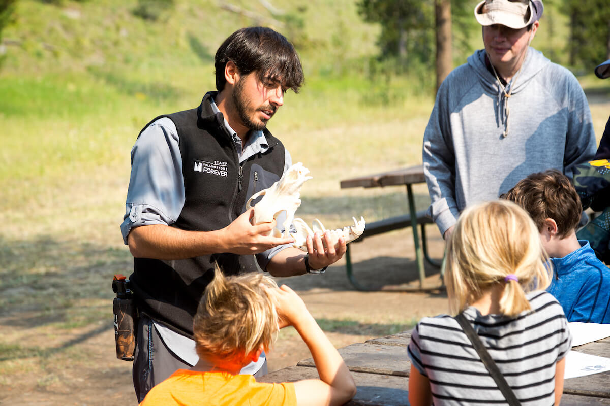 YF_YouthProgramLeaderWithWolfSkullReplica_NorthernRange_YNP_SUM17_BissoMaria (1)